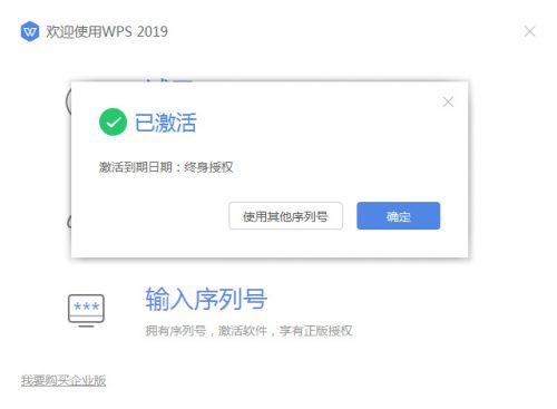 WPS企业版激活码序列号终生有效-第1张图片-王尘宇